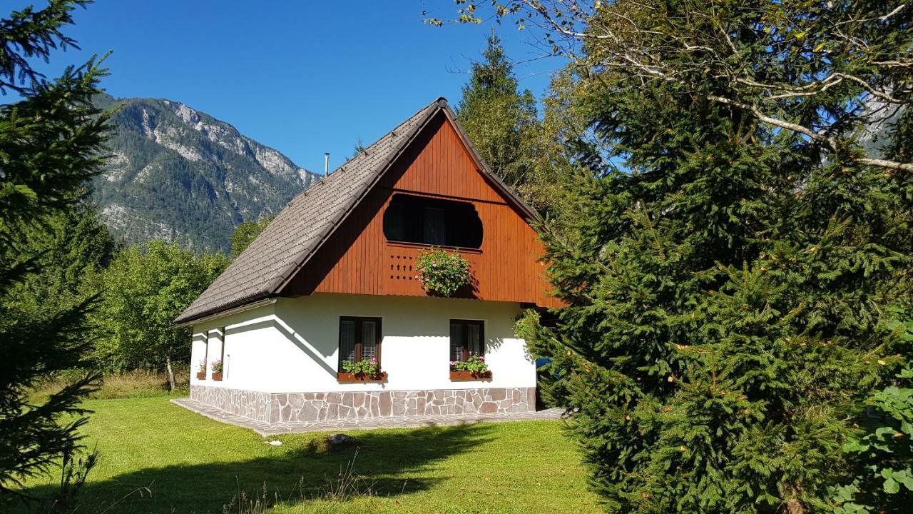 Vila Pocitniska Hisa Taler Bohinj Exteriér fotografie