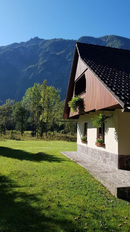 Vila Pocitniska Hisa Taler Bohinj Exteriér fotografie